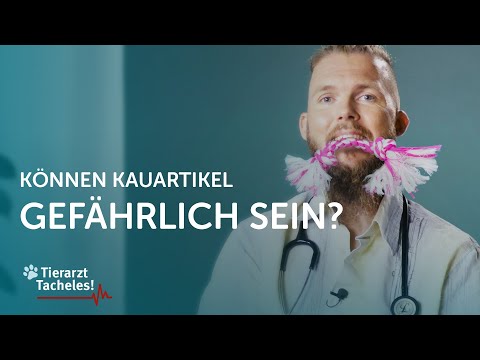 Video: Ist Getreidefrei Wirklich Die Antwort? - Täglicher Tierarzt