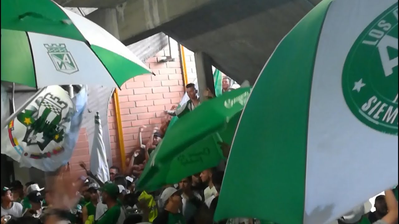 🥁🎺 Previa La Banda de Los Del Sur | ¡Hay fiesta en la Popular! 🔥