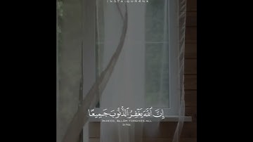 القارئ : محمد طه الجنيد | سورة الزمر #fyp #mohammedtahaaljunaid