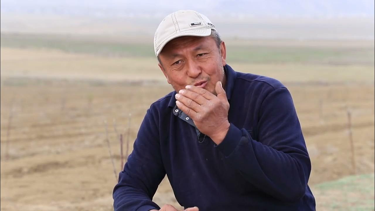 Алге р