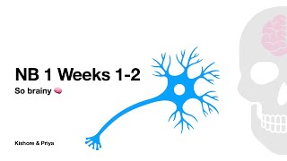 Term 2: NB1 Weeks 1-2 Review