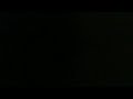 Leafy Gets Upset With Ellie