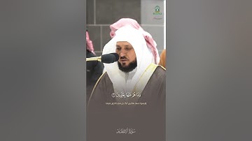 يوم لا تملك نفس لنفس شيئاً | ختام مؤثر لسورة الإنفطار بصوت الشيخ د. #ماهر_المعيقلي