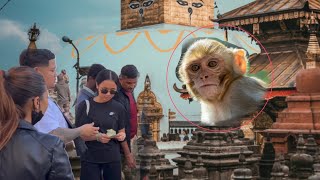 Monkey Temple Swayambhnaath❤️🌎Kathmandu Nepal