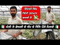 Salary In Italy || Jobs In Italy || ਇਟਲੀ ਵਿੱਚ ਤਨਖ਼ਾਹ