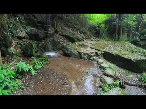 鳴川石仏群　清滝の摩崖仏