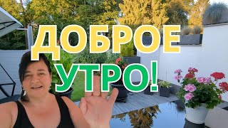 Утренний Рай 🌞 Прогулка с кошками по саду 🌿🐾 Просто Мария