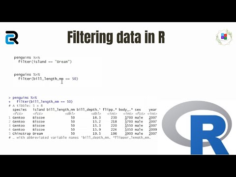 How to filter data in R?