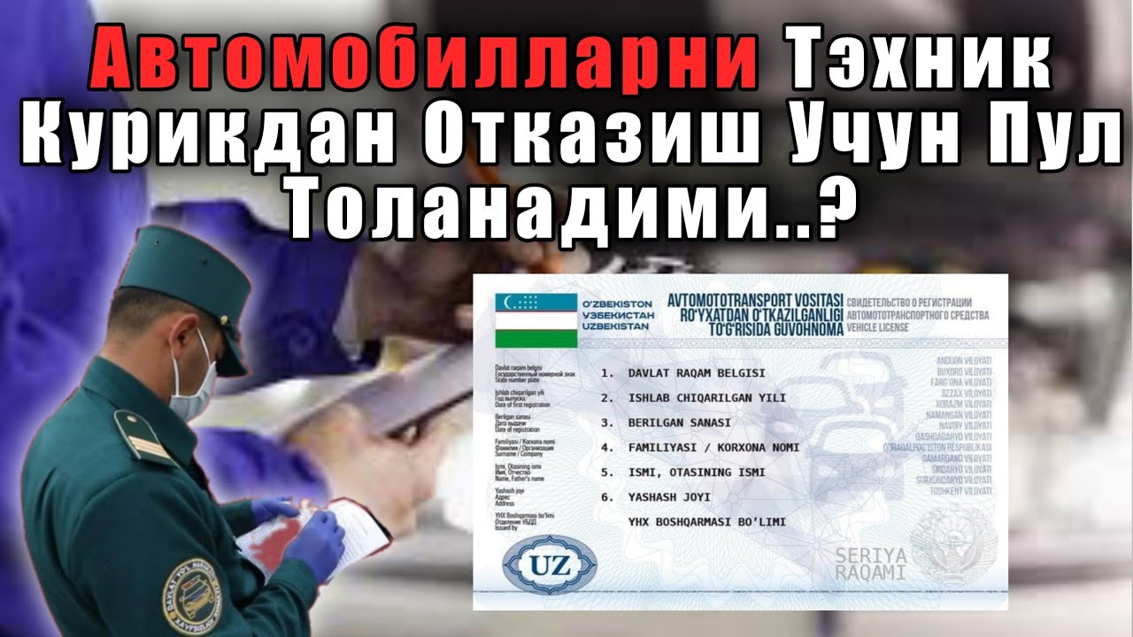 Butun yol ichida mushukning surati