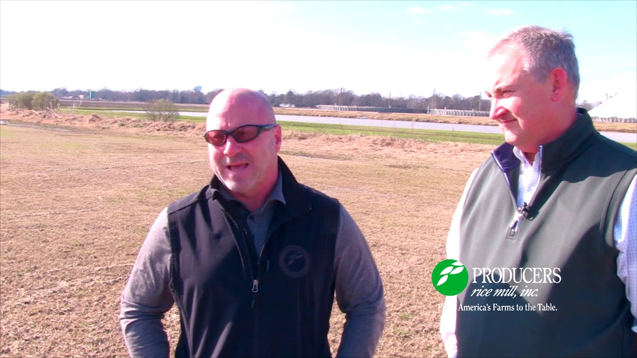 Producers Rice Mill - Sun Power!