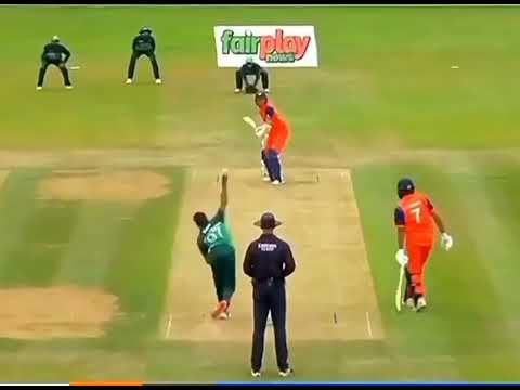 Haris Rauf At Pakistan Vs Netherlands Viral Video Short Pvsn