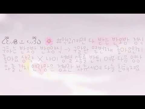 13 여자 85 반모방