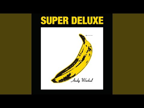 The Velvet Underground - The Velvet Underground 45th anniversary deluxe  edition