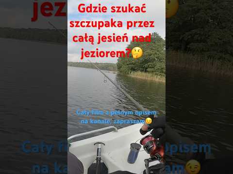 Gdzie szukać szczupaka