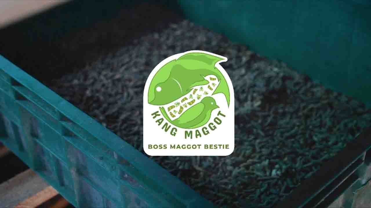 Urai Sampah Hingga Menghasilkan Cuan lewat Budidaya Maggot - present by KANG MAGGOT