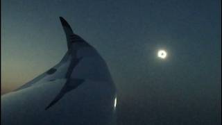 Eclipse 2026 from a glider (Arcus M) - Fuentemilanos, Spain, Aug 12 2026