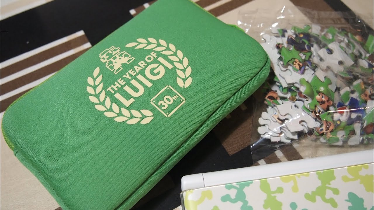 THE YEAR OF LUIGI ニンテンドー3DS LLポーチ