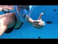 VLOG Сноркелинг. Риф и подводный мир Красного моря SUNRISE Royal Makadi Aqua Resort/ Hurghada Egypt