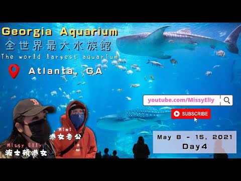 全世界最大水族館｜Georgia Aquarium｜Atlanta, GA｜美國東岸
