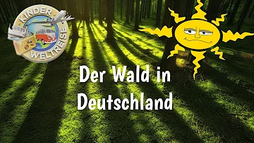 Welche Stadt hat den meisten Wald in Deutschland?