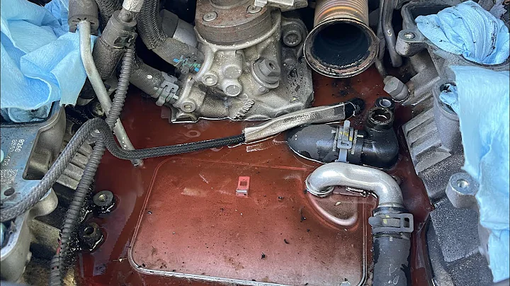 Cayenne 3.0 TDI EGR delete and Coolant Repair