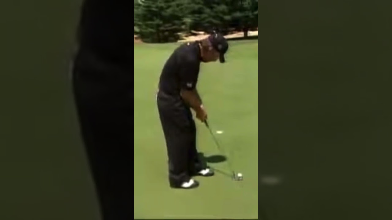 Гэри Плейер восхищён стилем игры Бобби Лока