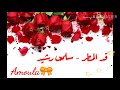 أغنية ❤قد المطر❤ سلمى الرشيد  (بالكلمات)