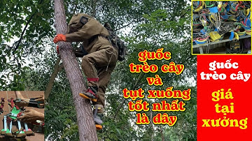 test guốc trèo cây bắt ong thực tế xem loại nào tối ưu nhất so với giá tiền