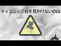 【パート②】ディズニーランド＆シーの面白い雑学や豆知識まとめ