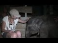Meeting Bona the "Baby Elephant" for the First Time