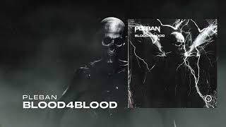 Pleban - Blood4Blood Visualizer