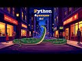 Python. Типы данных. Разбираем Функции