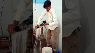 मेहनत बेकार हो गया 😢#trending #comedy #viralvideos #trendingaudio #viralpost #shortsfeed
