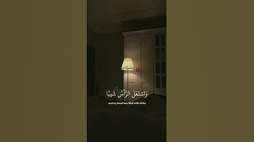 اكتب شيء تؤجر عليه 🥺💚 القارئ شريف مصطفى