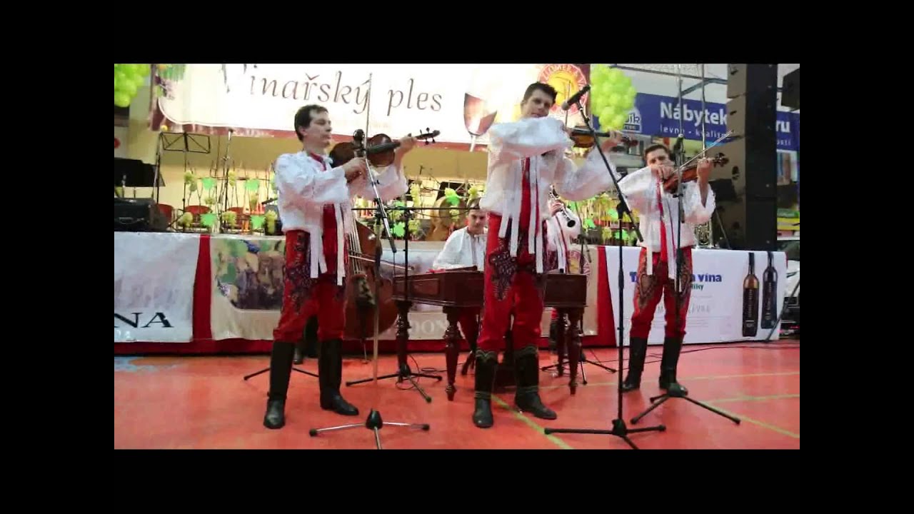 CM Grajcar - Jednoho dne se vrátíš - Vinařský ples Hluk (22.02.2014)