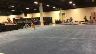 IMG 0387
