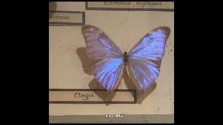 Kill Bill (Tik Tok speed up) - SZA