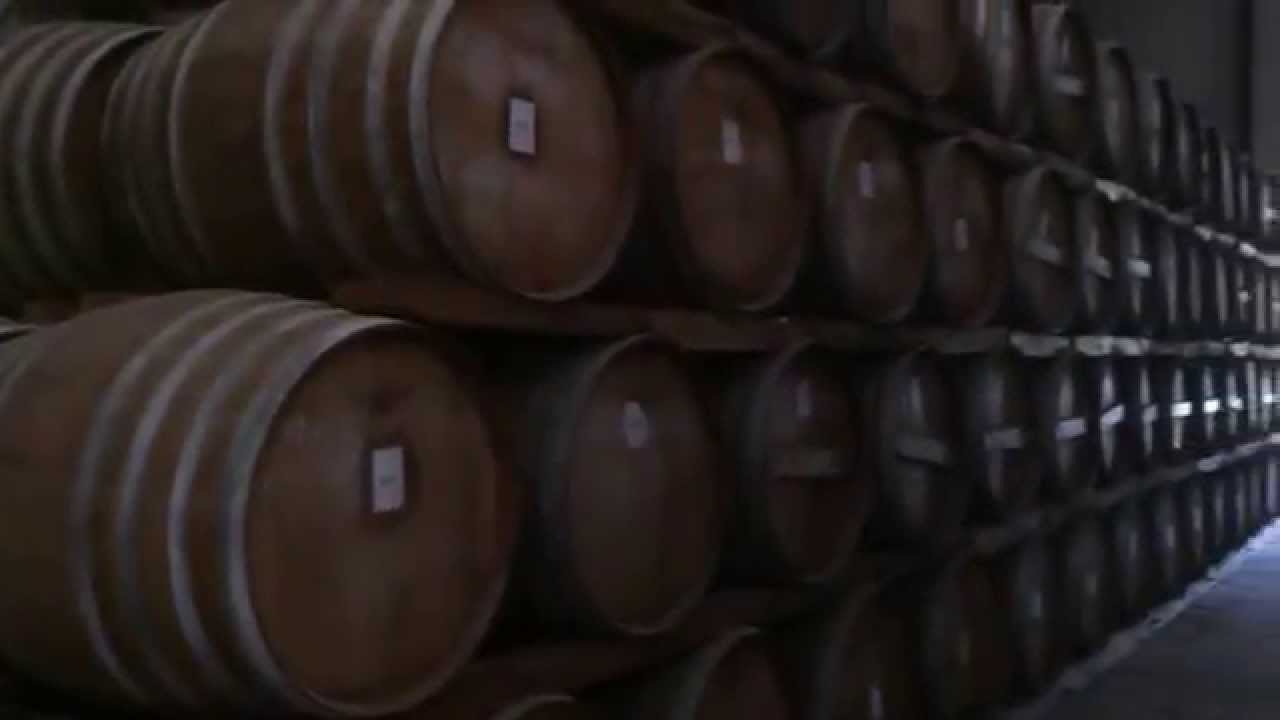 Press visit to Rhum Barbancourt distillery - Authentic Caribbean Rum