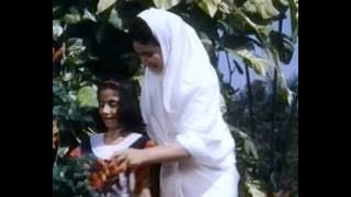 Gudiya Rani Hai Tu Full Video Song | Dadagiri | Govinda, Padmini Kolhapure