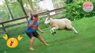 TOTAL IDIOTS AT WORK | Instant Regret Fails Compilation 2024 #109 | Best Fails of the Week