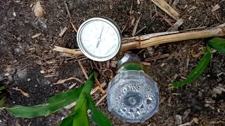Irrometer use in dryland corn