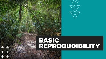 Basic Reproducibility in R