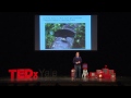 The Evolution of Beauty: Richard Prum at TEDxYale