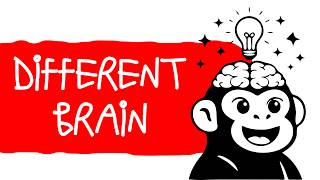 Famous Why Normal Life Is So Hard for Creative People Net Worth