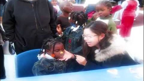 DSP Fall 2008 Rush Video