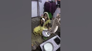 Thumbnail of #song Bill meow meow funny 🙀🤣🤣🤣🤣🤣🤣