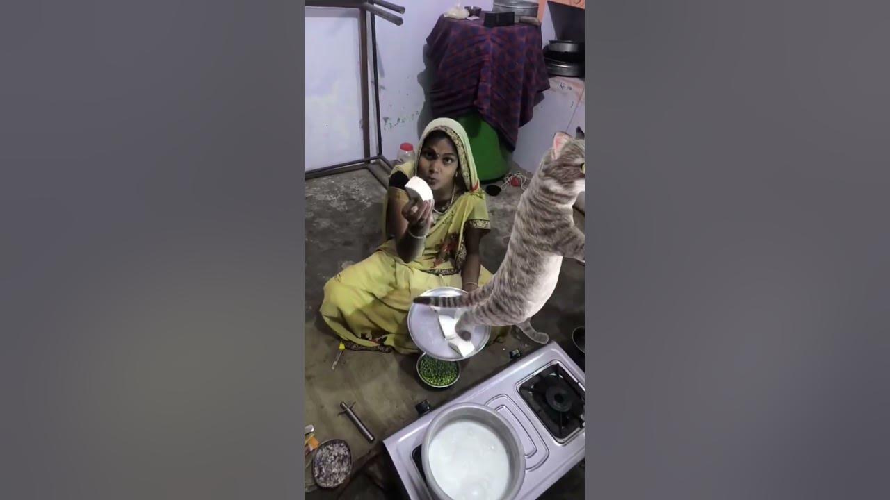 #song Bill meow meow funny 🙀🤣🤣🤣🤣🤣🤣 #song Bill meow meow funny 🙀🤣🤣🤣🤣🤣🤣