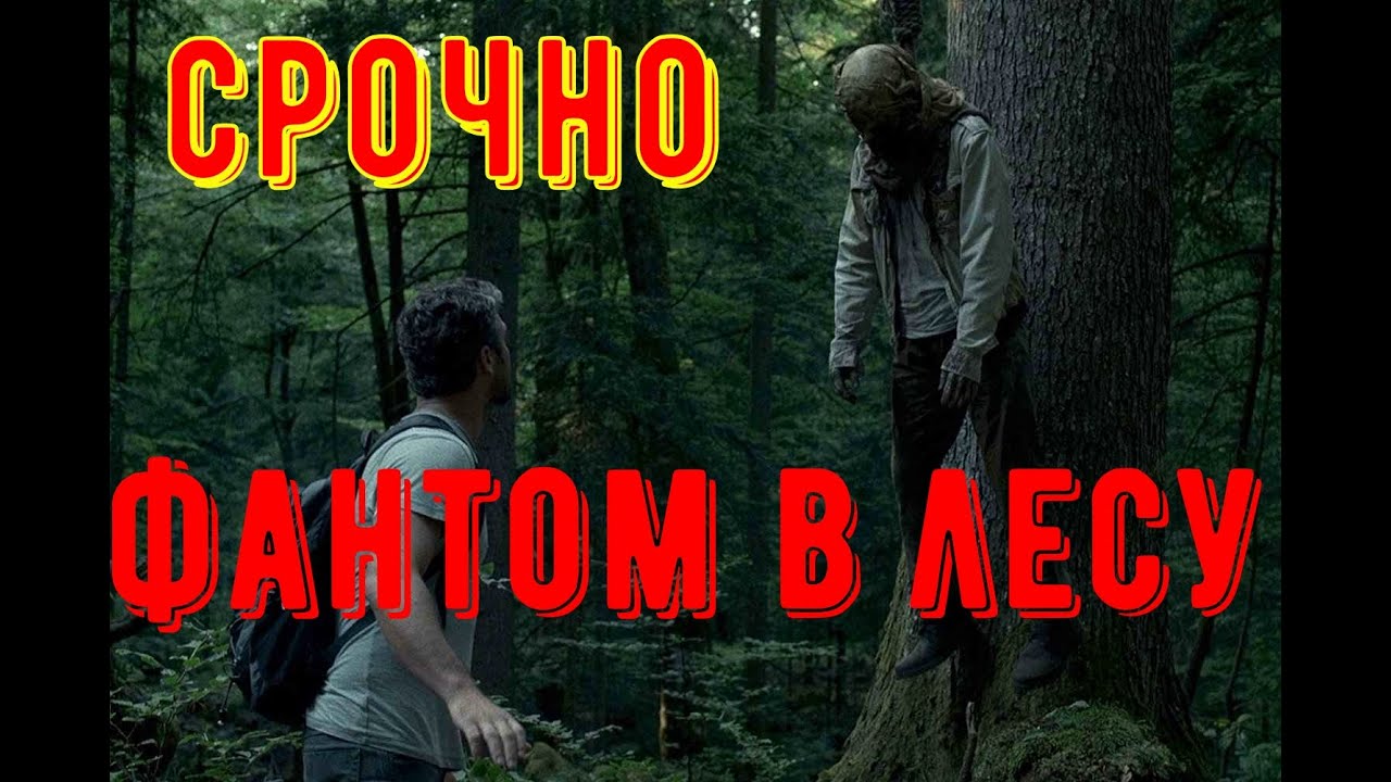 Дрочит хуй в машине