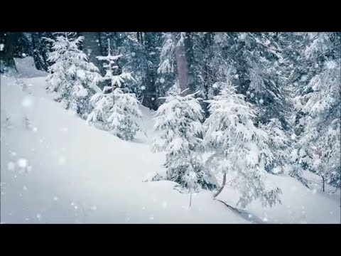 Видео: Къде да отидем да се отпуснем през зимата