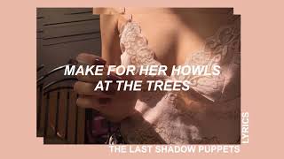 she does the woods ; the last shadow puppets – lyrics